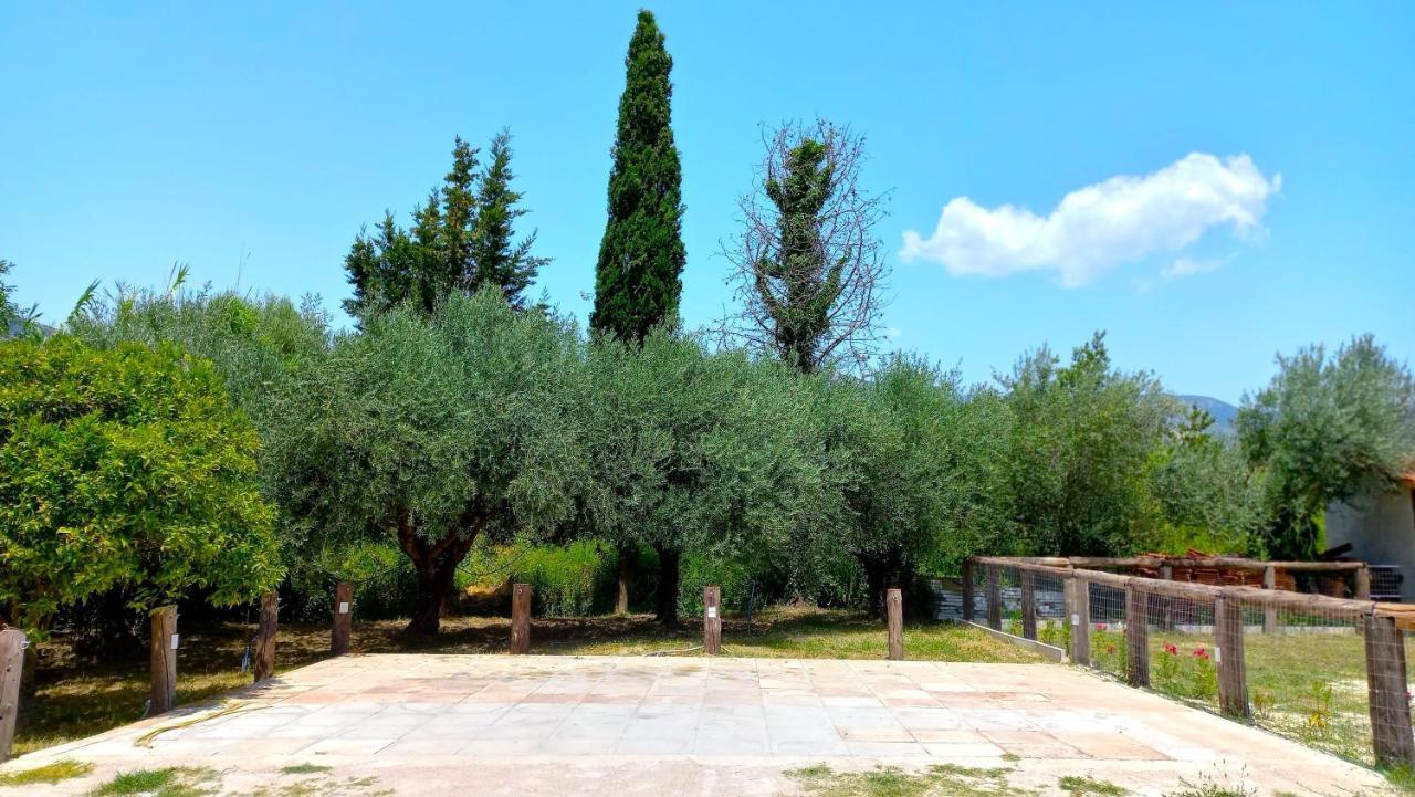 Platanos Villa Vasilikí Dış mekan fotoğraf